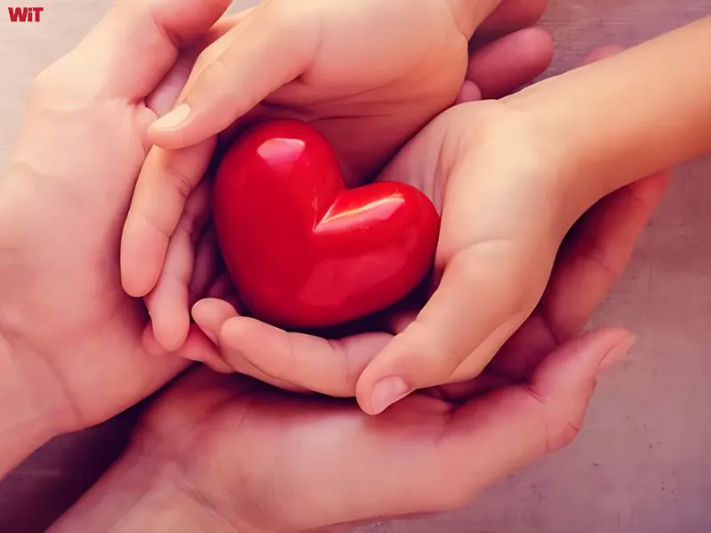Mối liên hệ giữa bao dung và các tâm thái khác